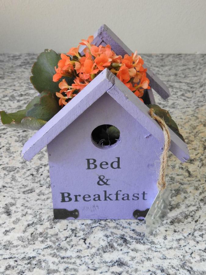 Sweet Home Suite Hallerndorf Eksteriør billede